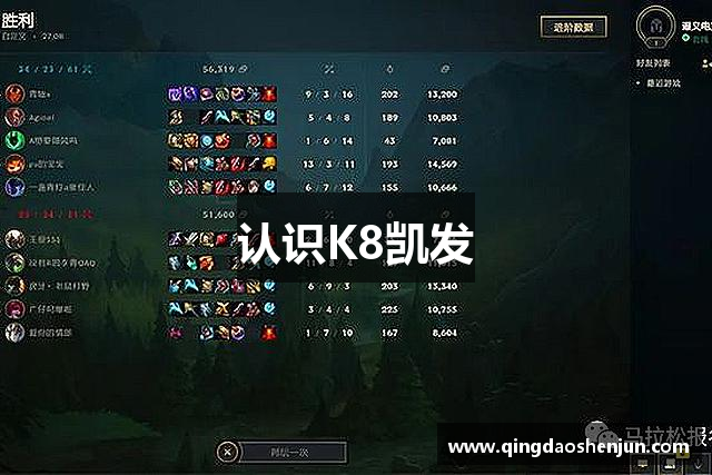 认识K8凯发